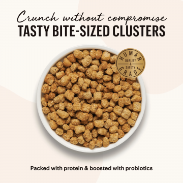 The Honest Kitchen Whole Food Clusters Chicken & Fish 4lbs